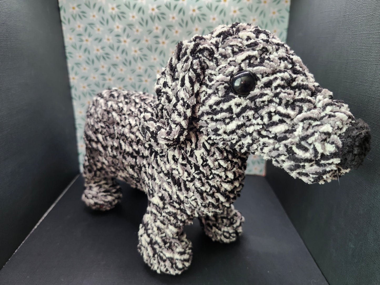 Dachshund - Charcoal