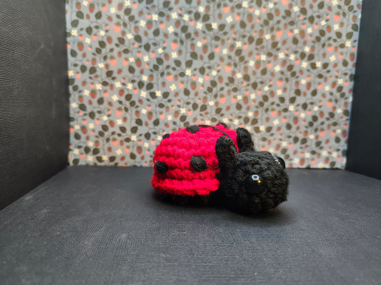 Lady Bug