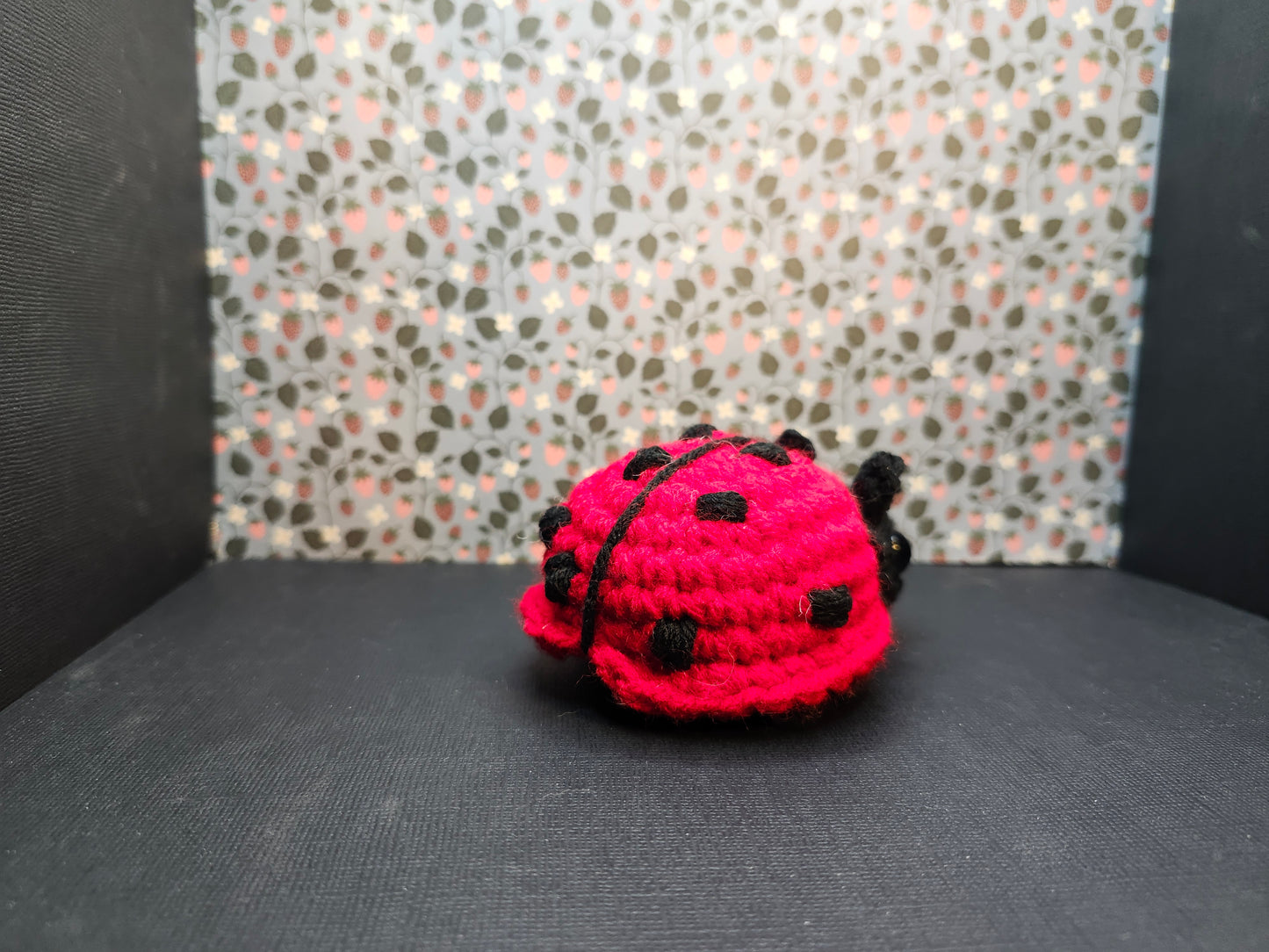 Lady Bug