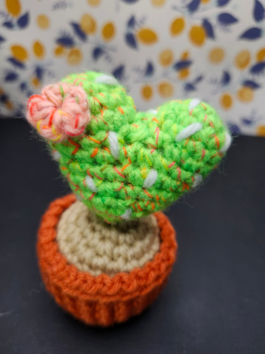 Cactus Love