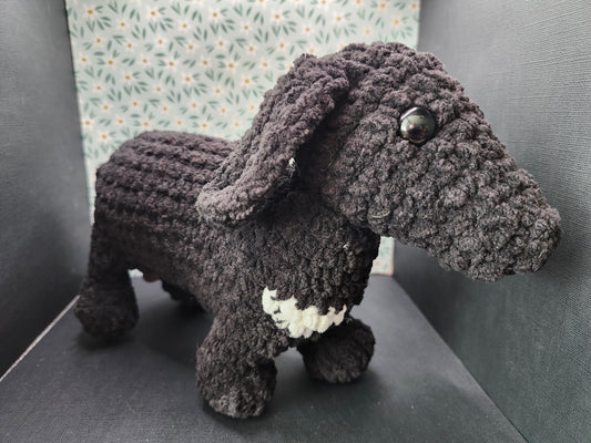Dachshund - Black