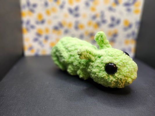 Grasshopper