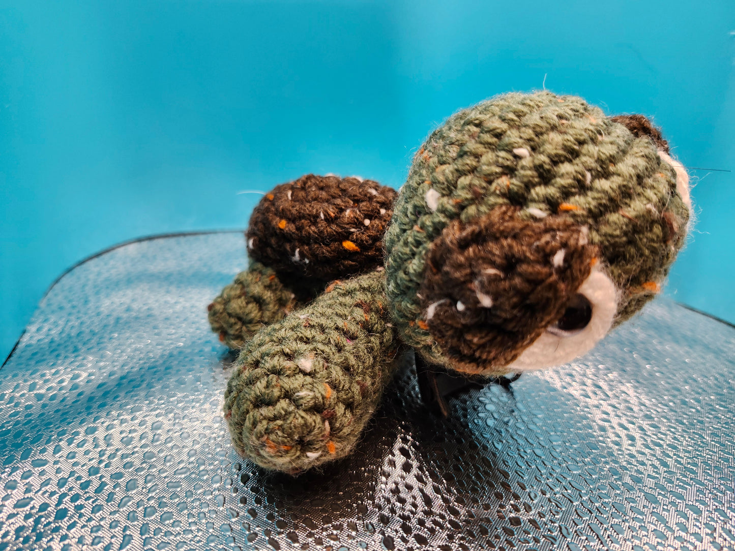 Sea Turtle