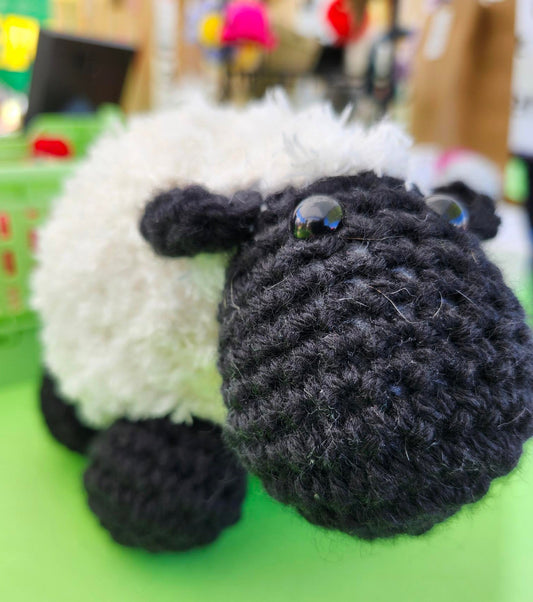 Stephen the Sheep