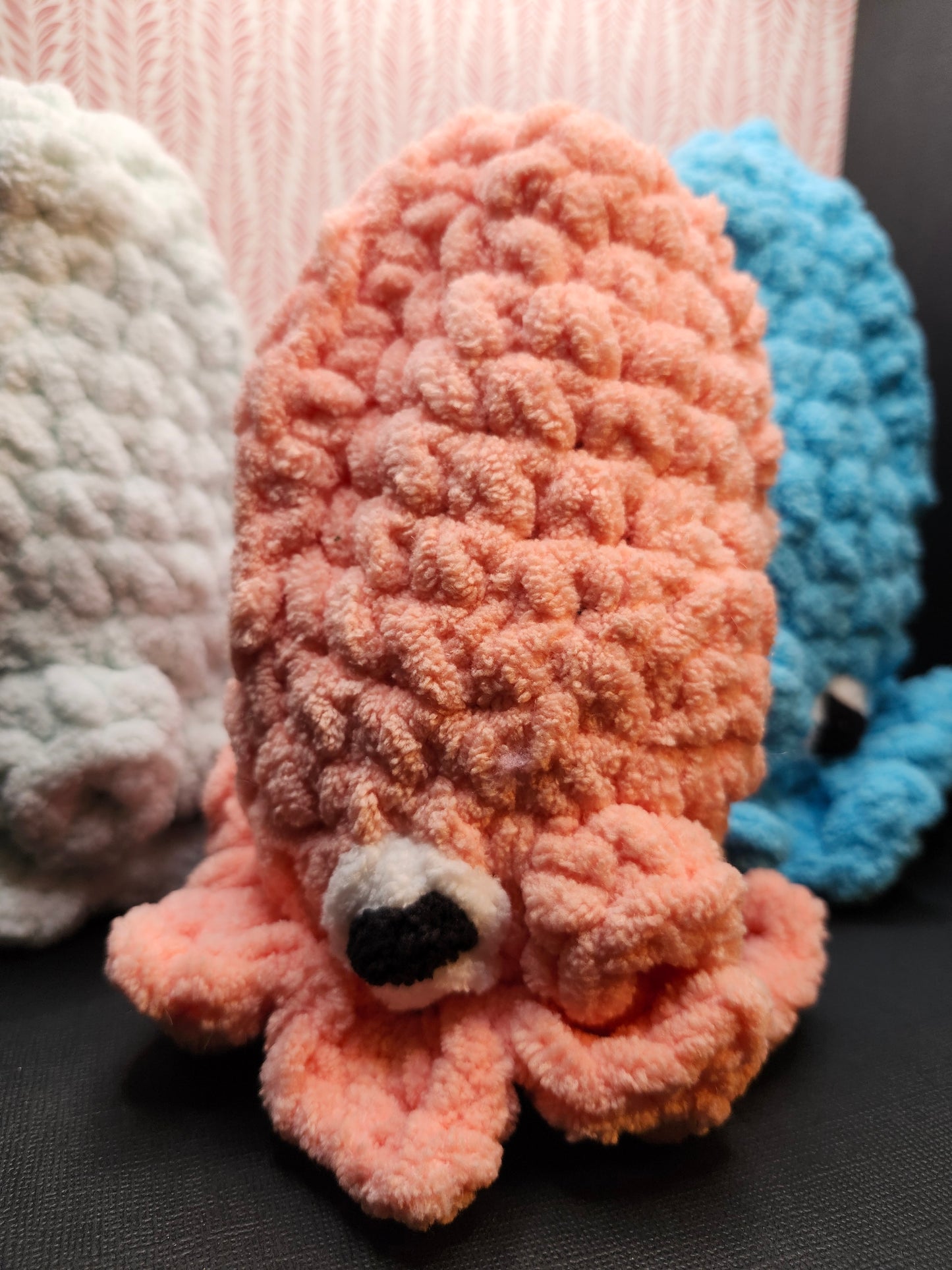 Squid
